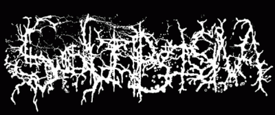 logo Solipsism (AUS)